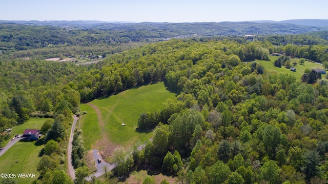 168 N Shaffer Hill Rd, Cogan Station, PA 17728 - photo 17