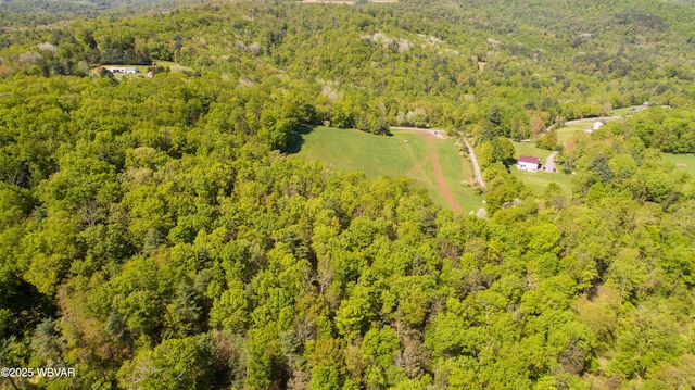 168 N Shaffer Hill Rd, Cogan Station, PA 17728 - photo 21