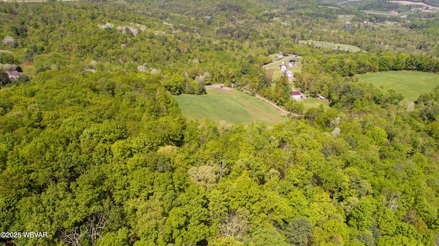 168 N Shaffer Hill Rd, Cogan Station, PA 17728 - photo 3