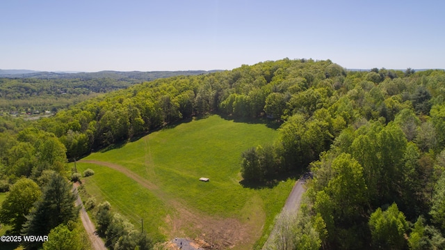 168 N Shaffer Hill Rd, Cogan Station, PA 17728 - photo 16