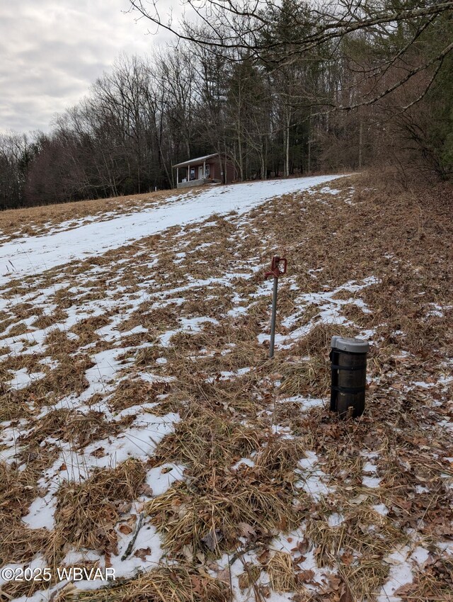 168 N Shaffer Hill Rd, Cogan Station, PA 17728 - photo 27
