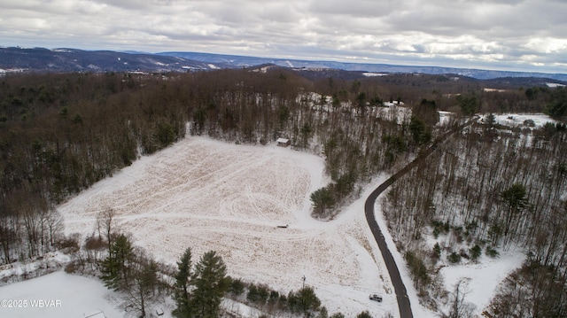 snowy aerial view with a mountain view