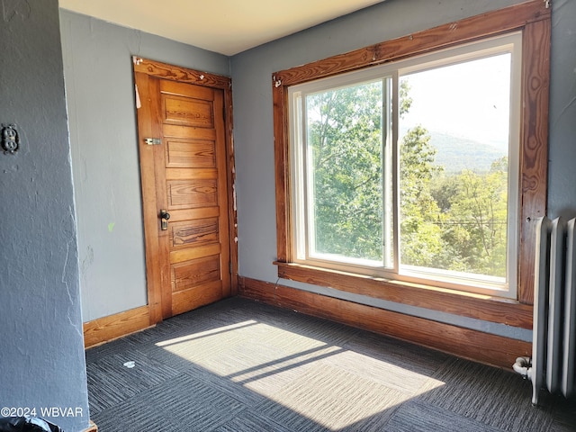 spare room featuring a wealth of natural light and radiator