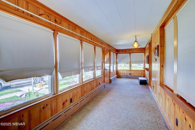104 Pearl St, Lock Haven, PA 17745 - unfurnished sunroom with baseboard heating, carpet floors, wooden walls, and a baseboard radiator