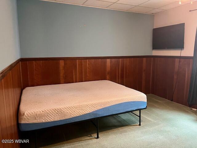 104 Pearl St, Lock Haven, PA 17745 - bedroom with wood walls, wainscoting, and carpet floors