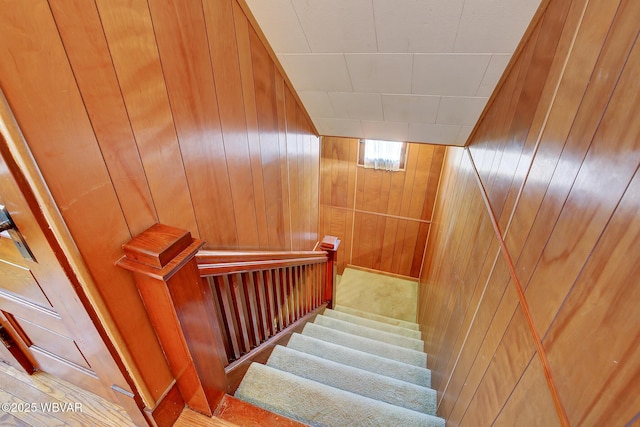 104 Pearl St, Lock Haven, PA 17745 - stairs with wooden walls and a sauna / steam room