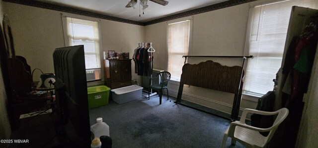 interior space with carpet flooring and a ceiling fan