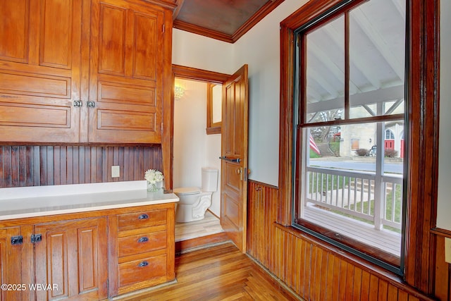 bathroom with toilet, wooden walls, wainscoting, and plenty of natural light