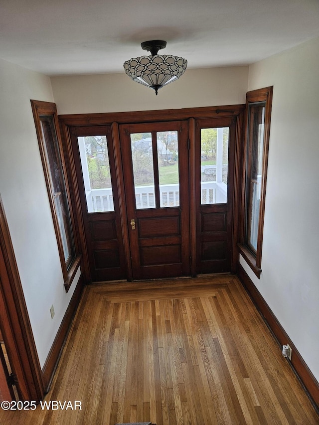 entrance foyer with baseboards and wood finished floors