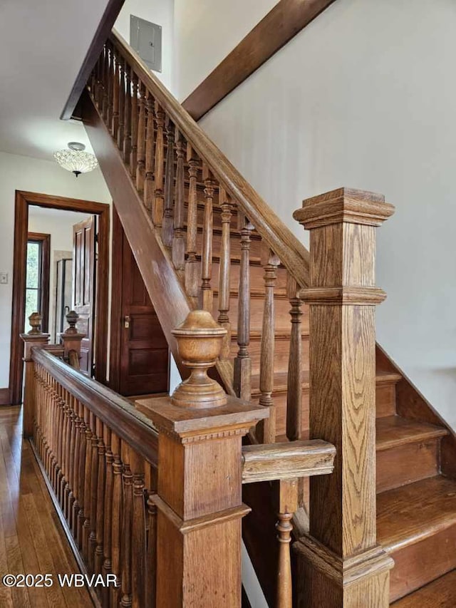 staircase with wood-type flooring