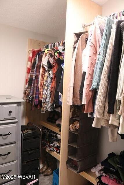 view of spacious closet
