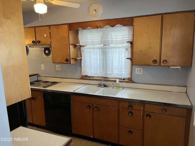 kitchen with stovetop, black dishwasher, ceiling fan, and sink