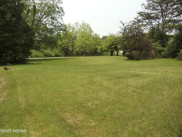 5801 N Rt 220th Hwy, Linden, PA 17744 - view of green lawn