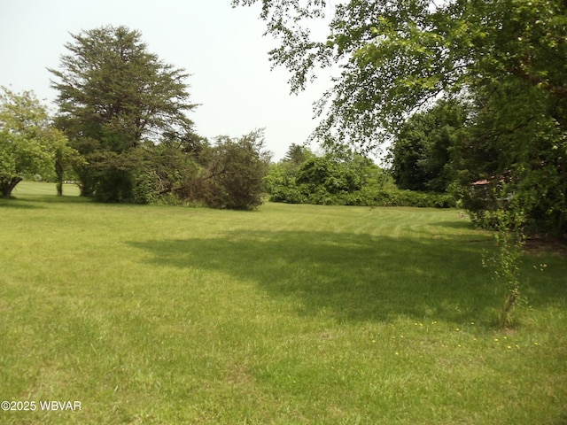 5801 N Rt 220th Hwy, Linden, PA 17744 - view of green lawn