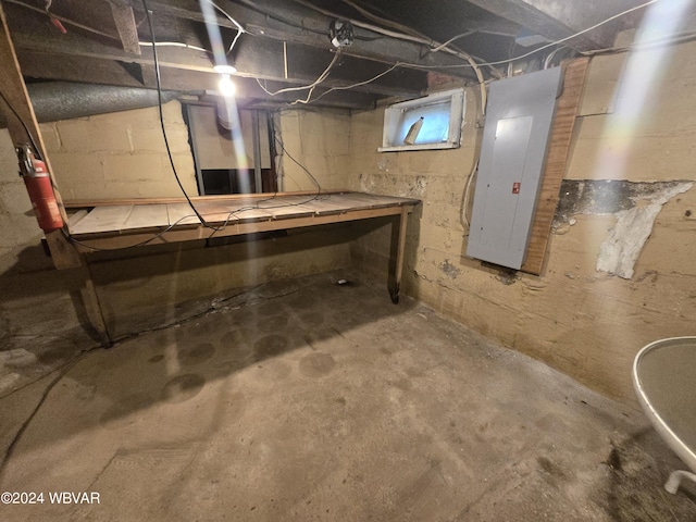 basement featuring electric panel