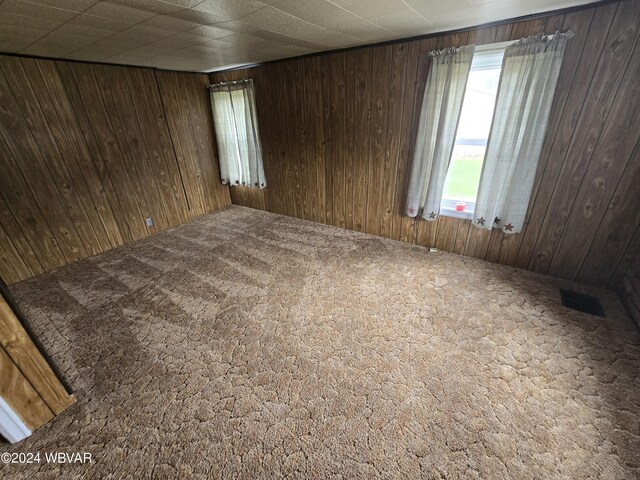 carpeted empty room featuring wood walls