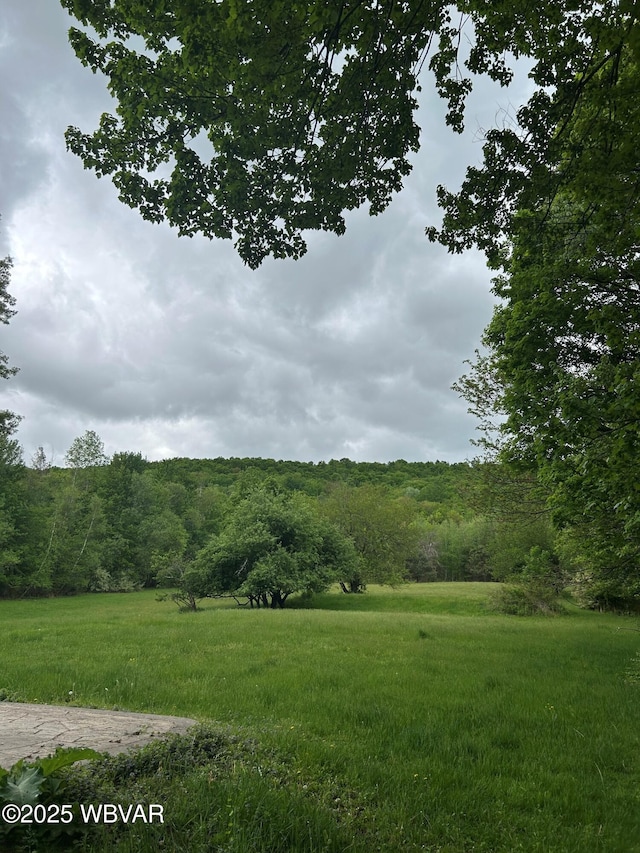 575 Steele Hill Rd, Sugar Run, PA 18846 - view of yard featuring a forest view