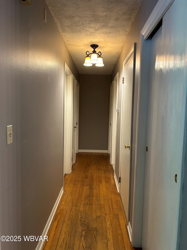 575 Steele Hill Rd, Sugar Run, PA 18846 - hallway with baseboards, a textured ceiling, and wood finished floors