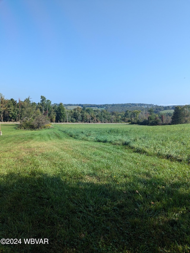 view of yard with a rural view