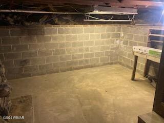 unfinished basement with concrete block wall