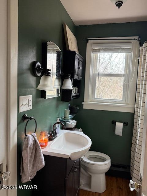 bathroom with vanity, toilet, and wood-type flooring