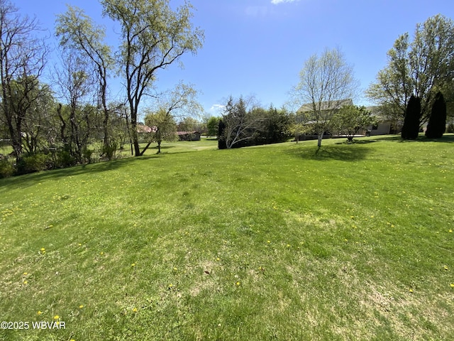32 Chestnut Ct, Jersey Shore, PA 17740 - view of yard
