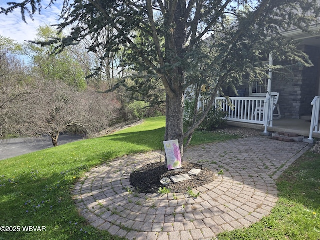 32 Chestnut Ct, Jersey Shore, PA 17740 - view of yard featuring a patio area