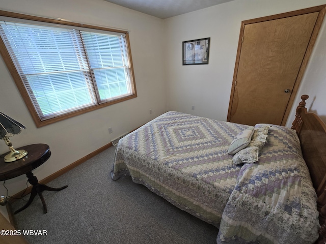 32 Chestnut Ct, Jersey Shore, PA 17740 - bedroom with carpet floors and baseboards