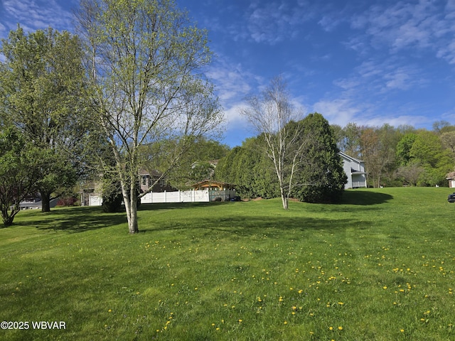 32 Chestnut Ct, Jersey Shore, PA 17740 - view of yard with a garage
