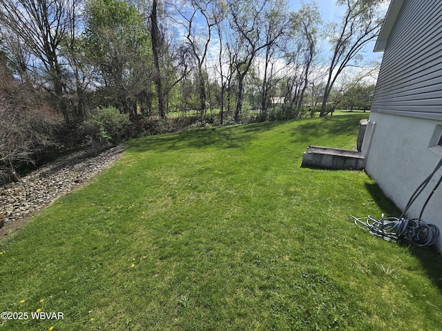 32 Chestnut Ct, Jersey Shore, PA 17740 - view of yard