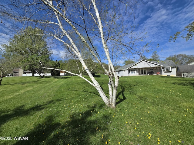 32 Chestnut Ct, Jersey Shore, PA 17740 - view of yard