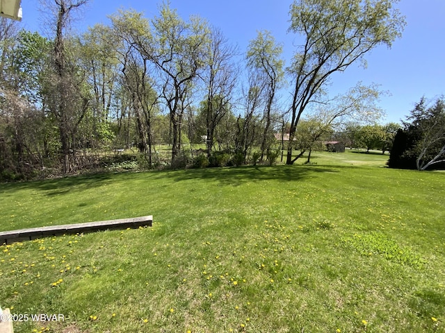 32 Chestnut Ct, Jersey Shore, PA 17740 - view of yard