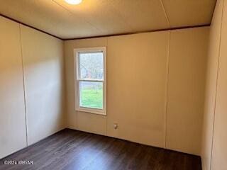 spare room featuring wood-type flooring