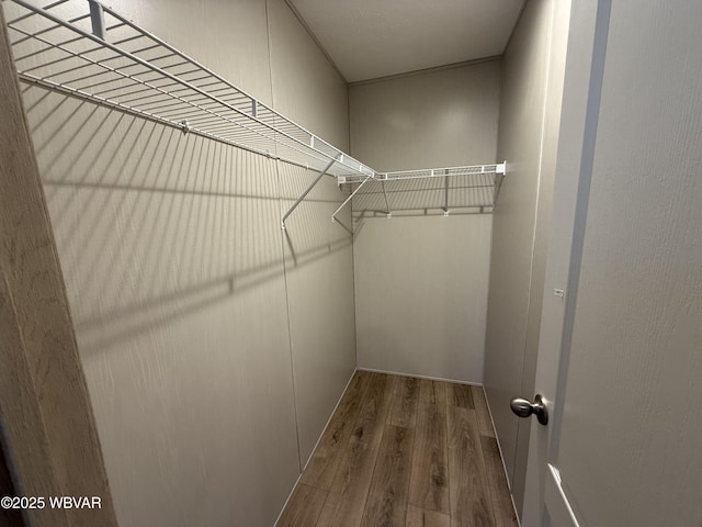 spacious closet with hardwood / wood-style flooring