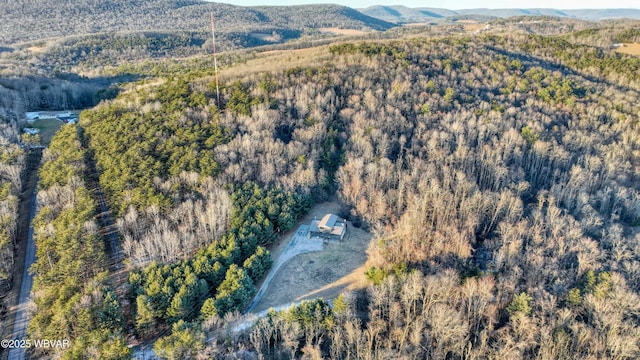 aerial view with a mountain view