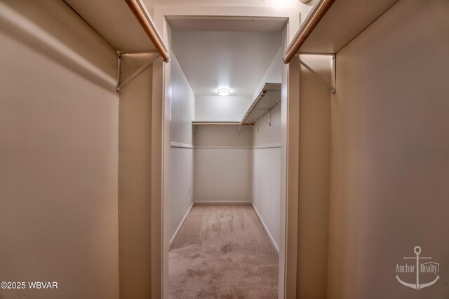 walk in closet with light carpet