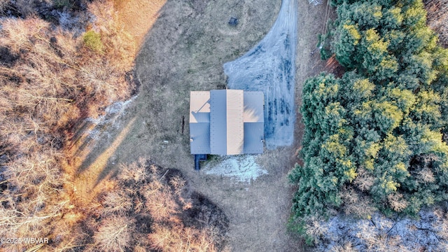 drone / aerial view