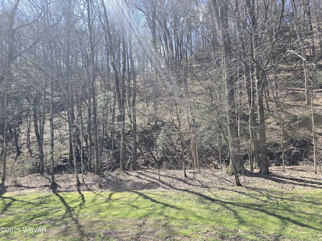 1592 Cement Hollow Rd, Jersey Shore, PA 17740 - view of landscape