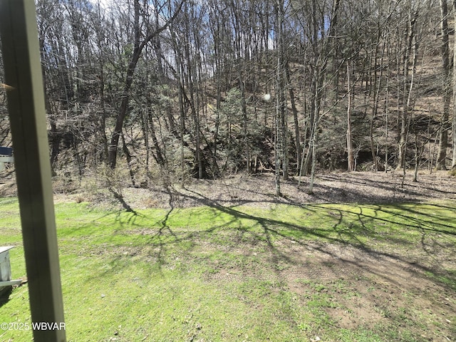 1592 Cement Hollow Rd, Jersey Shore, PA 17740 - view of yard