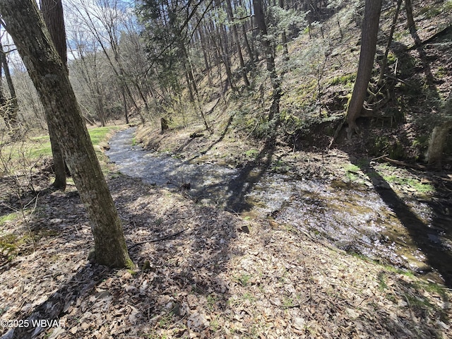1592 Cement Hollow Rd, Jersey Shore, PA 17740 - view of local wilderness featuring a forest view