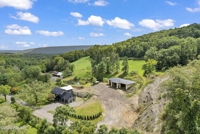 aerial view with a wooded view