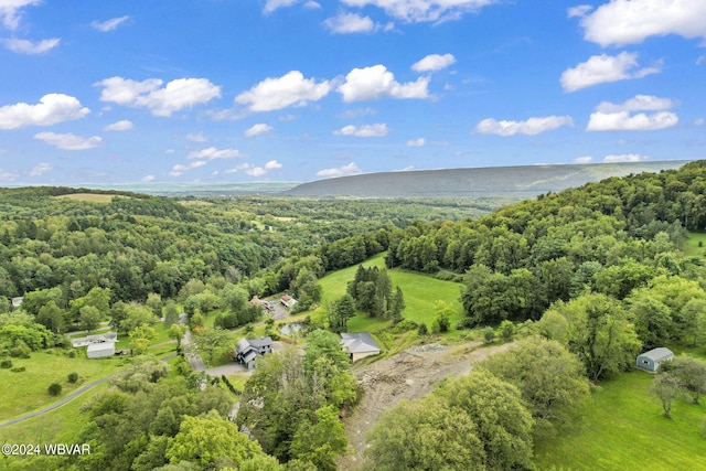 birds eye view of property with a forest view