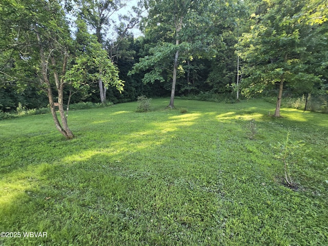 269 Susquehanna Ave, Lock Haven, PA 17745 - photo 61