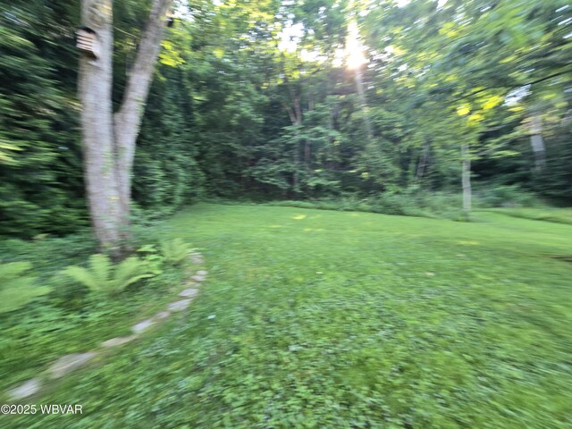 269 Susquehanna Ave, Lock Haven, PA 17745 - photo 68