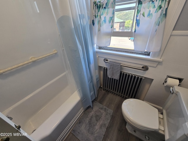 269 Susquehanna Ave, Lock Haven, PA 17745 - photo 45