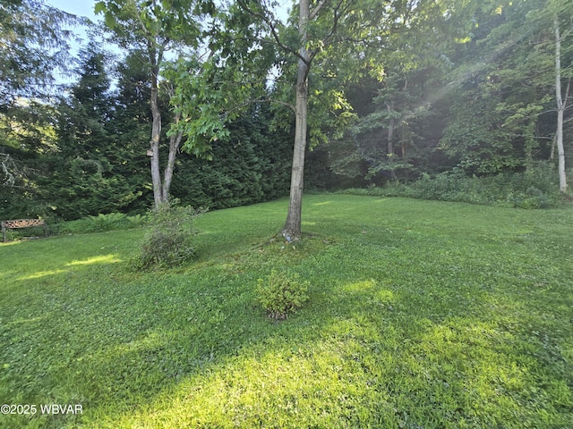 269 Susquehanna Ave, Lock Haven, PA 17745 - photo 65