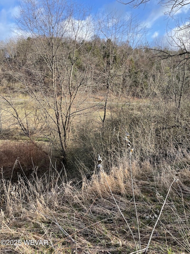 Hoover Dr, Cogan Station, PA 17728 - photo 4