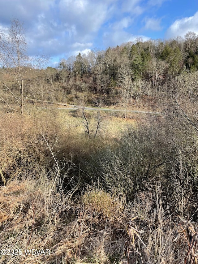 Hoover Dr, Cogan Station, PA 17728 - photo 2