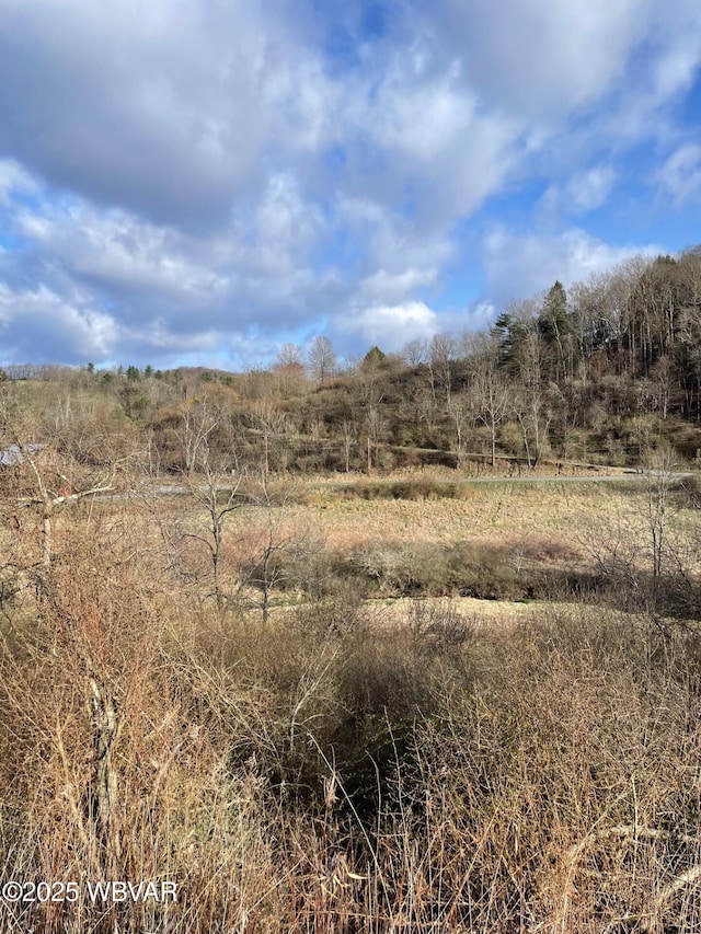 Hoover Dr, Cogan Station, PA 17728 - photo 5