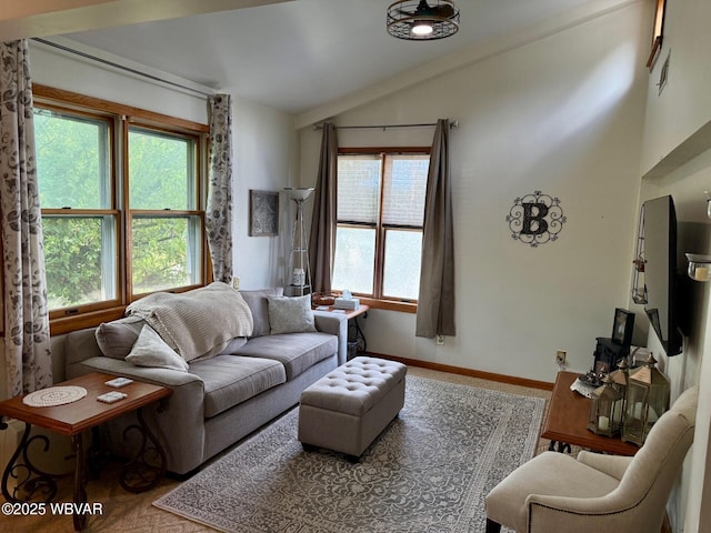61 W Houston Ave, Montgomery, PA 17752 - living room featuring lofted ceiling and baseboards